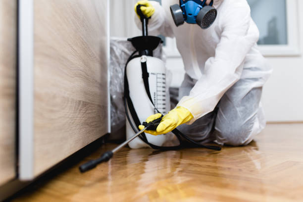 Best Rat Extermination Near Me  in Napervle, IL