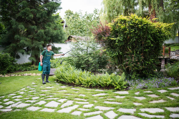 Professional Pest Control in Naperville, IL