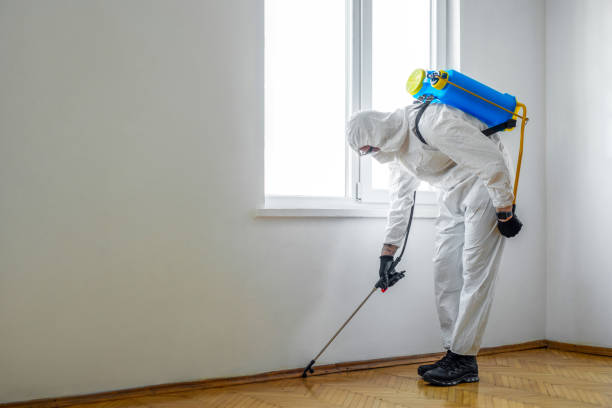 Best Mosquito Control Services  in Napervle, IL