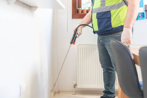 Best Termite Control Services  in Napervle, IL