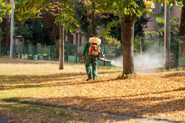 Best Commercial Pest Control Services  in Napervle, IL