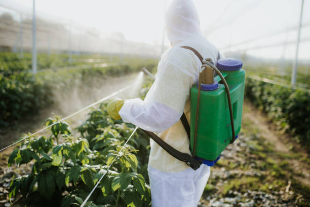 Best Pest Control Near Me  in Napervle, IL